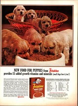 1963 Friskies Puppies Food Ad   Cocker Spaniel Puppy Dogs nostalgic b8 - £16.95 GBP