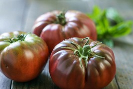 Black Brandywine Tomato -10 Seeds- large delicious fruit -amazing color - $3.99