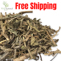 100 Grams Organic Borago Officinalis عشبة لسان الثور Free Shipping - $18.80
