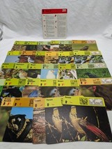 Lot Of (29) 1975 Rencontre Birds III Education Cards - $19.80