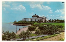 The Shedd Aquarium Chicago Illinois vintage Postcard Unused - £4.49 GBP