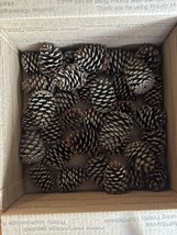 Lot of 30 Pine Cones Crafts Decor 2” -2.5” Natural Wreath Fall North Carolina - £10.83 GBP