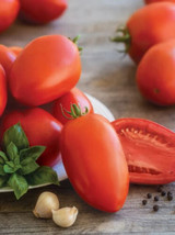 SKM Buttercup Space Station Squash 18 Seeds Easy to Grow - $12.97