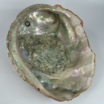 Vintage Estate Red Abalone Shell Large 8”x 6” 1lb 1oz Old Trinket Dish D... - $117.55