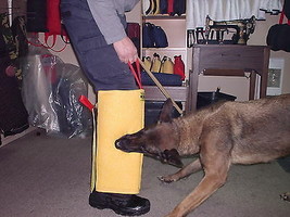 BELGIAN LEG SLEEVE POLICE K9 SCHUTZHUND BITE SUIT FABRIC  - £46.53 GBP