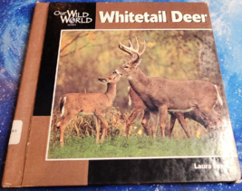 Whitetail Deer By Laura Evert Hardcover - £3.75 GBP