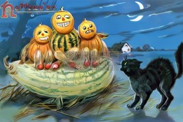 Squash Pumpkins And Black Cat Halloween Tuck 4X6 Photo Postcard Reprint - $8.65