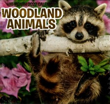2022 16 Month Wall Calendar - Woodland Animals - £12.65 GBP