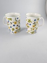 Set of 2 Rose of England Multicolored Floral Ladybug Bone China Coffee Tea Mugs - £21.35 GBP