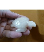 Y-TUR-SE-731 Pink Rose Quartz crystal SEA TURTLE gemstone figurine love ... - $32.05 CAD