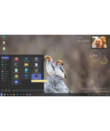 Linux Mint 22.1 Upgrade Kit: replace Windows 7/10/11/macOS with Linux Mi... - €26,04 EUR