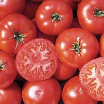 50 Seeds Trophy Tomato Tomatoe Vegetable Garden Edible Canning - £4.90 GBP