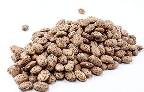 Shell Pinto Bean Seeds - 50 Count Seed Pack - Tasty and Easy to Grow, These Make