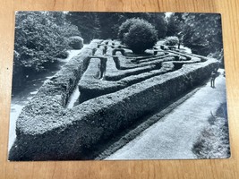 Vintage RPPC Postcard - England - Hampton Court Palace, Middlesex, The Maze - £3.78 GBP