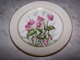 1876-1881 CFH Charles Field Haviland Decorative Desert Dish Plate (Pink fl) 7.5W - £11.76 GBP