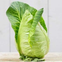 CABBAGE COUR DI BUE, 300 SEEDS R - $267.26 MXN