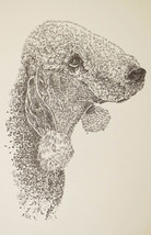 Bedlington Terrier Dog Art Lithograph #30 Kline will add your dogs name free. - $49.95