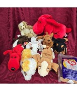 Beannie Babies TY Dogs Puppies  P.E. and P.V.C.  10 pc Lot, 7 With Tags,... - £23.44 GBP