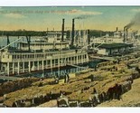 Loading Cotton Along the Mississiippi River Paddlewheel  Postcard 5063 1916 - $14.83