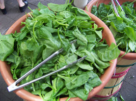 200 Seeds Spinach Bloomsdale Long Standing Heirloom Seeds Speedy Growth Lush Out - £6.61 GBP