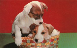 Vintage Postcard Fox Terrier Pups in Basket Unused Dog Card Lusterchrom - £5.51 GBP