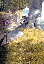 Ambush by N.C. Wyeth - Art Print - £17.55 GBP+
