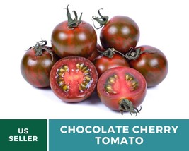 25 Tomato Chocolate Cherry Seeds Solanum lycopersicum Indeterminate Plant - £13.96 GBP