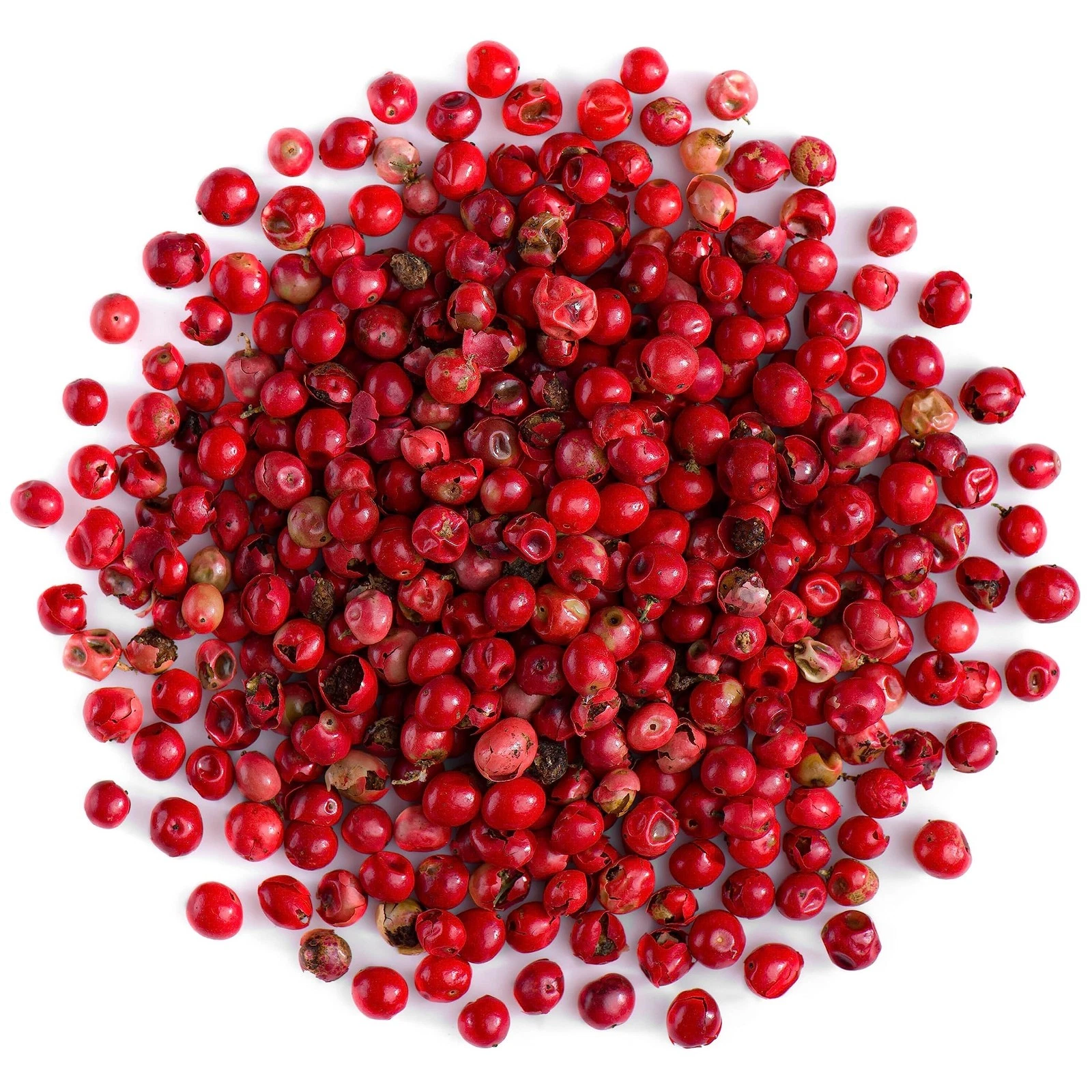 South American Pink Peppercorn Tree Seeds (30) / Rare / Easy - $7.94