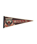 Vintage Chicago Bulls Pennant Eastern Division Wincraft 1990s 30&quot;  NBA Flag - $18.65