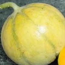 USA SELLER 50 Melon Collective farm woman seeds Free Shipping - £11.60 GBP