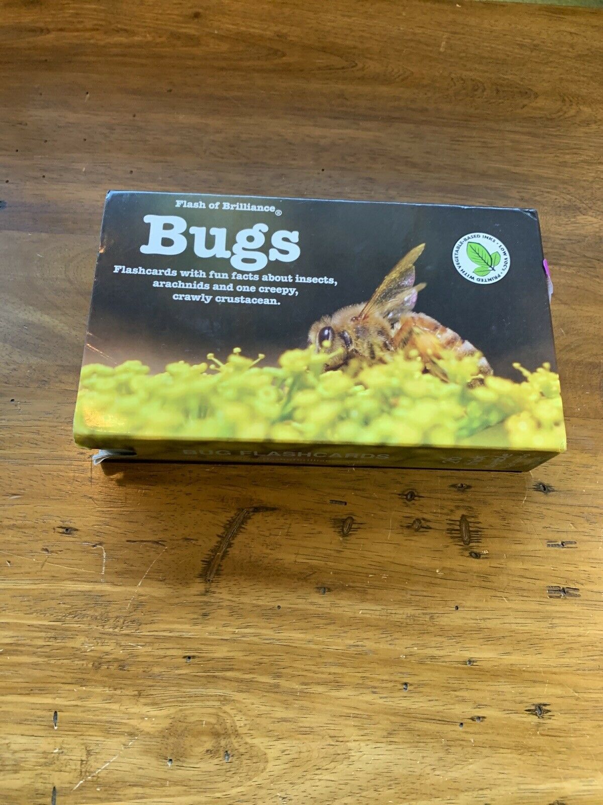 Bugs Flash Cards by Flash of Brilliance (26 card set) Insects Creepy Crawly - $9.90