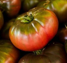 Cherokee Purple Tomato Seeds 20 Indeterminate Garden Vegetables - £7.83 GBP