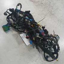 Ford Focus Dash Wire Wiring Harness  2018 2017 2016 2015 - $104.89