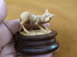 (tb-wolf-16) tan playful Wolf Dog TAGUA NUT palm figurine Bali love wolv... - £40.61 GBP