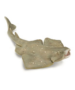 CollectA Angel Shark Figure (Medium) - £26.49 GBP