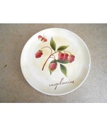 Pier 1 Hand Painted Earthenware Plate - Raspberry Theme - $6.56