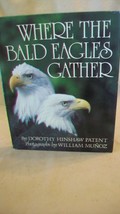 Where the Bald Eagles Gather by Dorothy Hinshaw Patent (1984, Hardcover) - £15.98 GBP