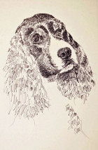 English Springer Spaniel Dog Art Print #56 Kline draws your dogs name fr... - $49.45