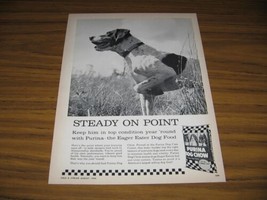 1960 Print Ad Purina Dog Chow Food Hunting Dog Points in Field - £8.12 GBP