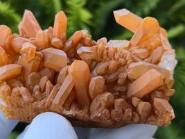 Tangerine Quartz Specimen Natural Crystals Cluster (TN24) - $39.59