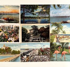 Postcards Lot Of 9 Florida Various Subjects 1930s-50s PCBG10C - £15.84 GBP