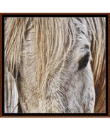 Horse Head ~~ counted cross stitch pattern PDF - £15.67 GBP