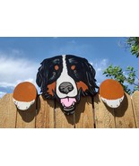 Bernese Mountain Dog Dog Peeker Yard Art Garden Dog Park Free Ship - £99.79 GBP