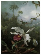 1215.Orchid and Hummingbird Art Decor POSTER.Graphics to decorate home office. - £13.44 GBP+