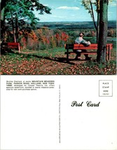 New York(NY) Holland Mountain Meadows Park Autumn Fall Season Vintage Postcard - £7.44 GBP