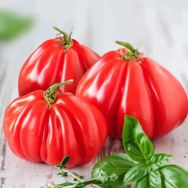 Fresh Ruffled Tomato Seeds - 25+ Seeds To Grow - Exotic Heirloom Vegetable Seeds - £17.25 GBP