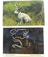 Vintage North America Postcards 1960s Virginia City Ghosts &amp; Jackalope - $6.12 CAD