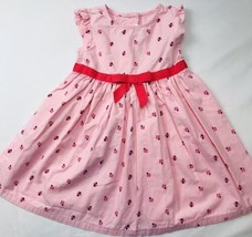 Gymboree Retired Ladybug Lady Bug Dress Sz 12-18 M Pink Red Ss Summer  - $23.00
