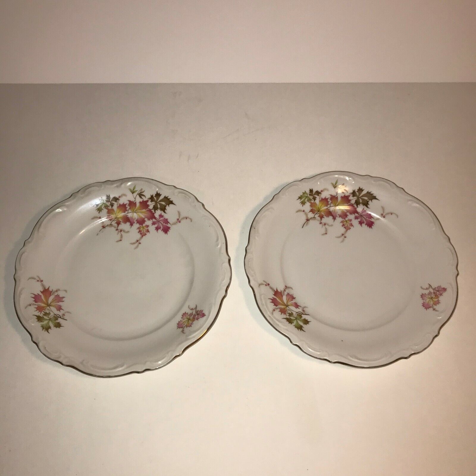 Primary image for Two (2) Mitterteich Bavaria Autumn Seasonal Salad Plates 7 3/4" Made in Germany