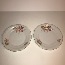 Two (2) Mitterteich Bavaria Autumn Seasonal Salad Plates 7 3/4&quot; Made in ... - £7.42 GBP